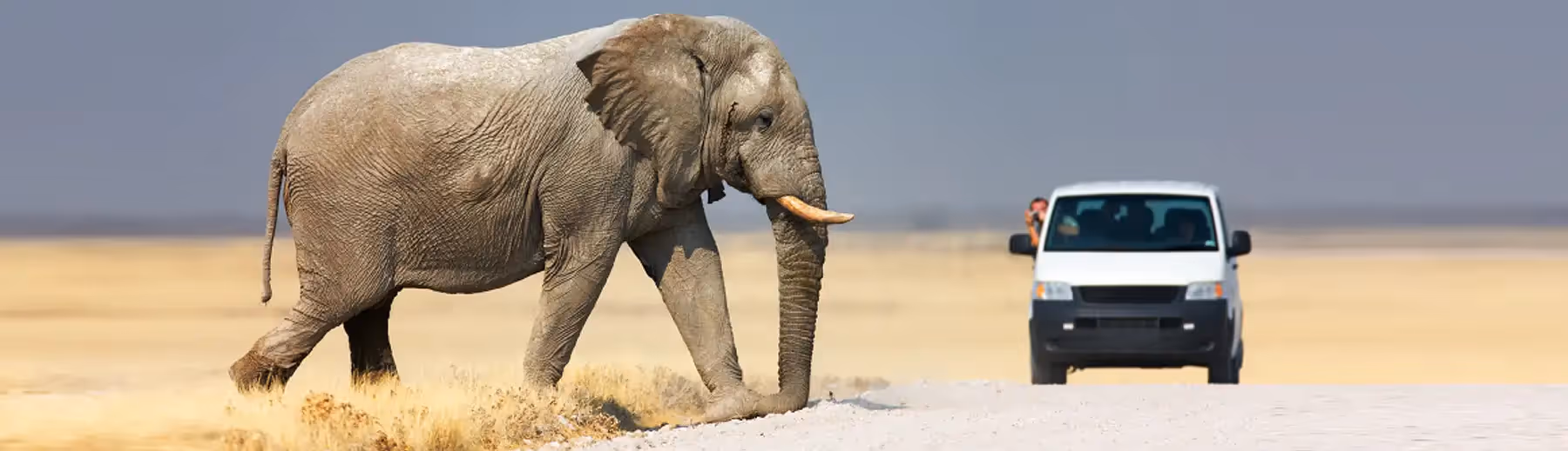 Why a 4x4 Safari Is the Best Way to Experience Africa